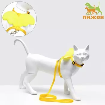 Комплект амуниции