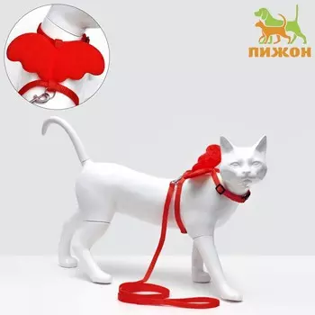 Комплект амуниции