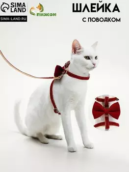 Комплект амуниции