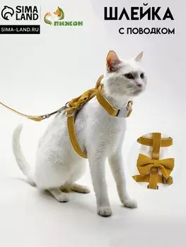 Комплект амуниции