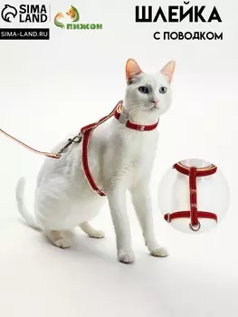 Комплект амуниции