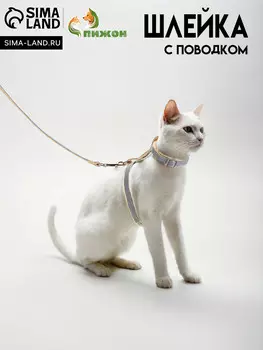 Комплект амуниции