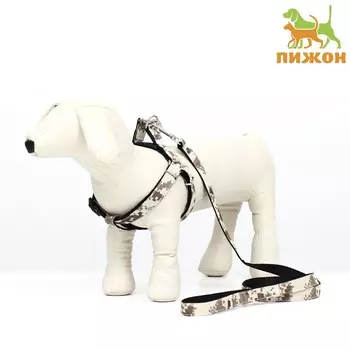 Комплект амуниции двухслойный, размер l, поводок 120 х 2 см, ош 31-45, ог 35-52 см, камуфляж