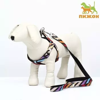 Комплект амуниции двухслойный, размер l, поводок 1202 см, ош 31-45 см, ог 35-52 см, разноцветный