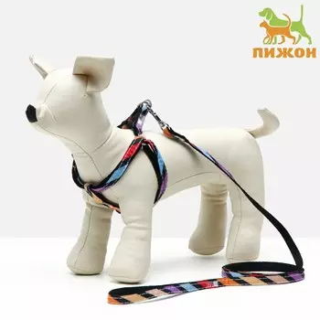 Комплект амуниции двухслойный, s, поводок 1201 см, ош 24-38 ог 29-41 см, разноцветные полосы