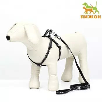 Комплект амуниции двухслойный, размер s, поводок 120 х 1 см, ош 24-38 см, ог 29-41 см,звезды