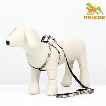 Комплект амуниции двухслойный, размер s, поводок 120х1 см, ош 24-38см, ог 29-41см, камуфляж