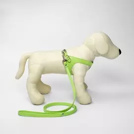 Комплект из экокожи, салатовый (жилетка 28-31 см, поводок 120х1 см)