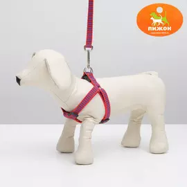 Комплект амуниции рельефный, поводок 1201.5 см, ог 36-49 см, красно-синий