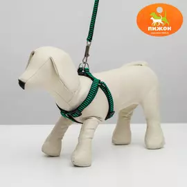 Комплект амуниции рельефный, 1,5 см, шлейка 36-49 см, поводок 120 см, зелено-черный