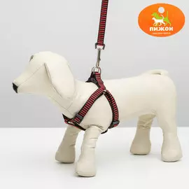 Комплект амуниции рельефный, 1,5 см, шлейка 36-49 см, поводок 120 см, красно-черный