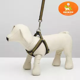 Комплект амуниции рельефный, 1,5 см, шлейка 36-49 см, поводок 120 см, желто-черный