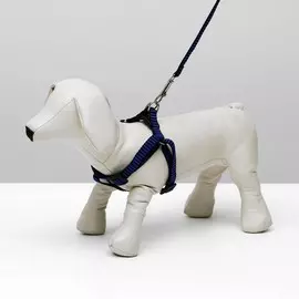 Комплект амуниции рельефный, поводок 1201.5 см, ог 36-49 см, сине-черный