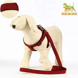 Комплект амуниции рельефный, поводок 1202 см, ог 44-50 см, красно-черный