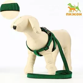 Комплект амуниции рельефный, поводок 120 х 2 см, ог 44-50 см, зелено-черный