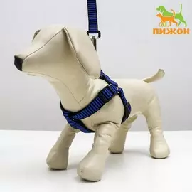 Комплект амуниции рельефный, поводок 1202 см, ог 44-50 см, сине-черный