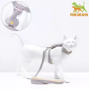 Комплект амуниции с игрушкой, m, поводок 120 х 1,5 см, серый
