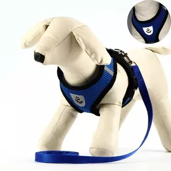 Комплект амуниции с мягкой шлейкой и светоотражающей нашивкой, xl,ош 40 см, ог 46-60 см,синий