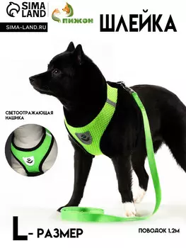 Комплект амуниции с мягкой шлейкой и светоотражающей нашивкой, l, ош 33 см, ог 36-48, зеленый