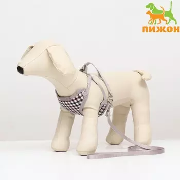 Комплект амуниции с мягкой шлейкой, поводок 1201 см, ог 34-58 см, синяя клетка