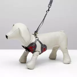 Комплект амуниции с мягкой шлейкой, l, поводок 1201.5 см, ош 30-50 см, ог 36-56 см, красный