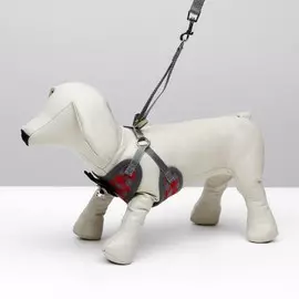 Комплект амуниции с мягкой шлейкой, xl, поводок 120 х 1,5 см, ош 38-52 см, ог 42-60 см, красный 47