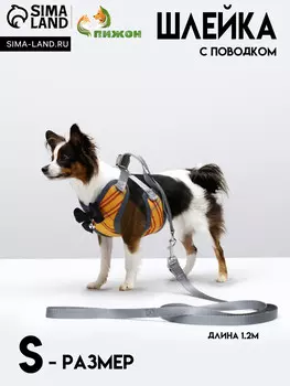 Комплект амуниции с мягкой шлейкой, s, поводок 120 х 1 см, ош 20-40 см, ог 30-44 см, желтый