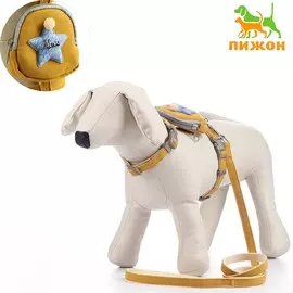 Комплект амуниции с рюкзачком, m, поводок 1,5 х 120 см (ош 20-32 см, 24-40 см), жёлтый
