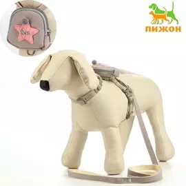 Комплект амуниции с рюкзачком, s, поводок 1,5 х 120 см (ош 20-28 см, ог 22-35 см), серый
