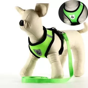 Комплект амуниции со светоотражающей нашивкой, s, ош 24 см, ог 28-33 см, зеленый