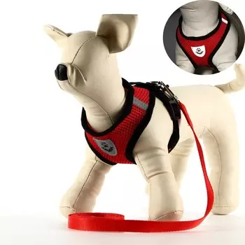 Комплект амуниции со светоотражающей нашивкой, s, ош 24 см, ог 28-33 см, красный