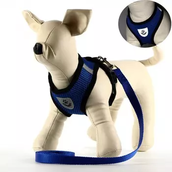 Комплект амуниции со светоотражающей нашивкой, s, ош 24 см, ог 28-33 см, синий