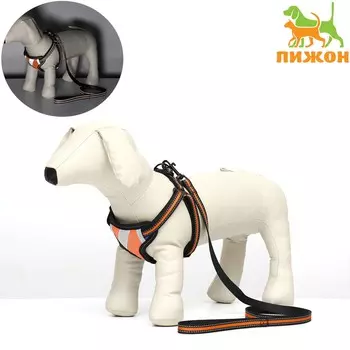 Комплект амуниции светоотражающий, размер m, ог 40-70 см, стропа 2 см, оранжевый