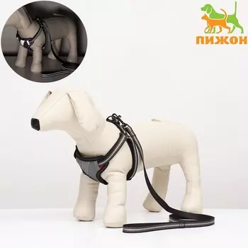 Комплект амуниции светоотражающий, размер s, ог 35-60 см, стропа 1.5 см, серый