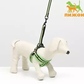 Комплект амуниции мягкий, светоотражающий, поводок 120 х 1,5 см, ош 35-53 см, зеленый