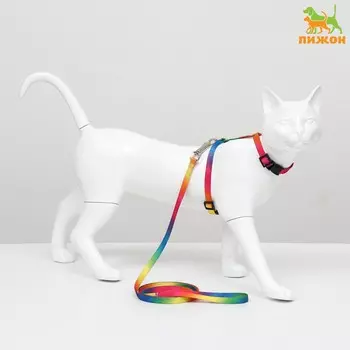 Комплект для кошек