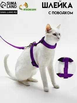 Комплект для кошек, ширина 1,5 см, ош 16,5-27 см, ог 21-35 см, поводок 120 см, фиолетовый