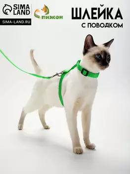 Комплект для кошек, ширина 1.5 см, ош 16.5-27 см, ог 21-35 см, поводок 120 см, зеленый
