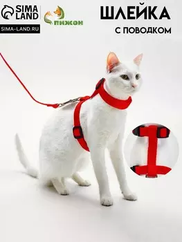 Комплект для кошек, ширина 1,5 см, ош 16,5-27 см, ог 21-35 см, поводок 120 см, красный