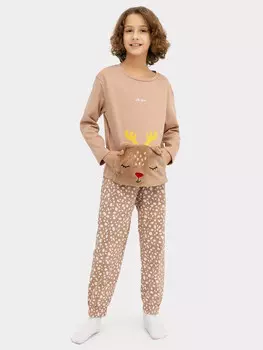 Комплект для мальчиков (джемпер, брюки)