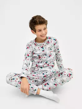 Комплект для мальчиков (джемпер, брюки)