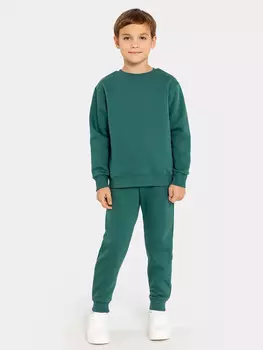 Комплект для мальчиков (джемпер, брюки)