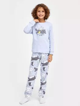 Комплект для мальчиков (джемпер, брюки)