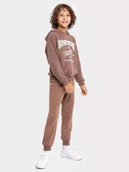 Комплект для мальчиков (джемпер, брюки)