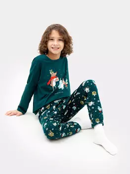 Комплект для мальчиков (джемпер, брюки)