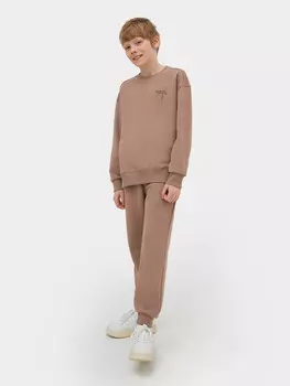 Комплект для мальчиков (джемпер, брюки)