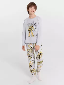 Комплект для мальчиков (джемпер, брюки)