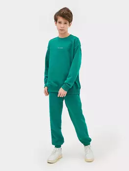 Комплект для мальчиков (джемпер, брюки)