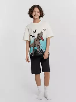 Комплект для мальчиков (джемпер, шорты)