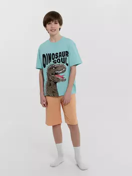 Комплект для мальчиков (джемпер, шорты)